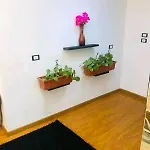 شقه بالزمالك مفروشة