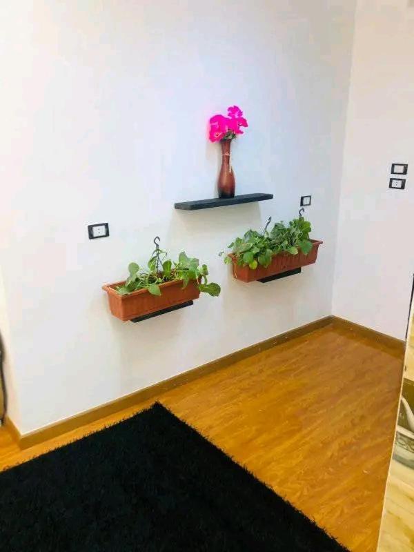 شقه بالزمالك مفروشة Apartment